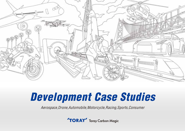 Development Case Studies